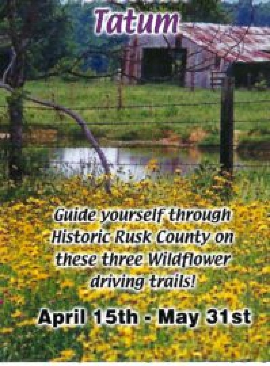 Tatum Wild Flower
